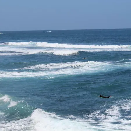 Holidaynorthtenerife Exotic Apartment Los Realejos