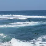 Holidaynorthtenerife Exotic Apartamento Los Realejos