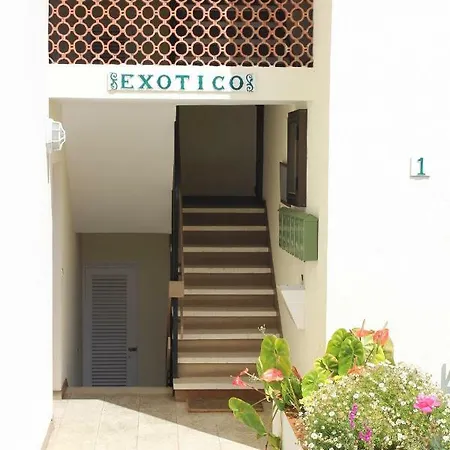 Apartament Holidaynorthtenerife Exotic Los Realejos