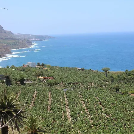 Holidaynorthtenerife Exotic Apartament