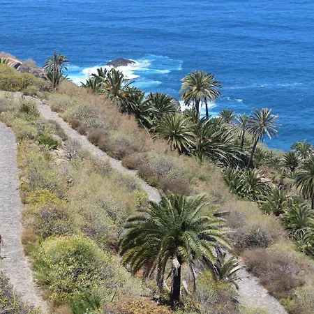 Holidaynorthtenerife Exotic Los Realejos