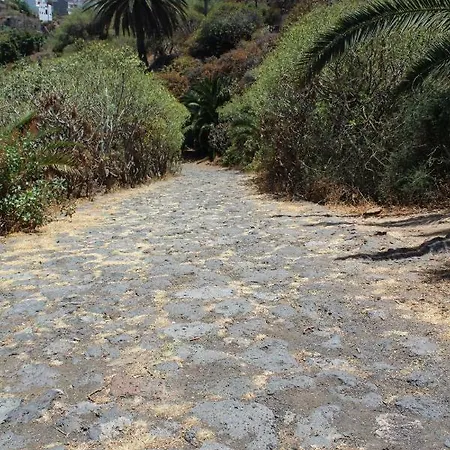 Holidaynorthtenerife Exotic Los Realejos